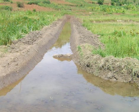 Central canal from the second main weir